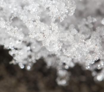 snowflakes as background. close-up