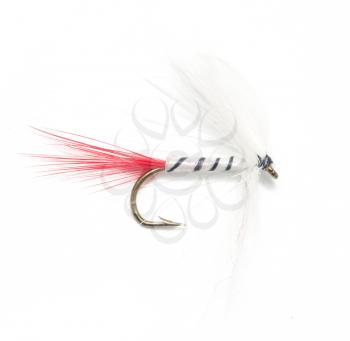 fly for fishing on white background