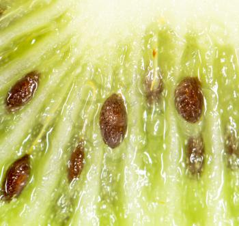 kiwi as a background. super macro