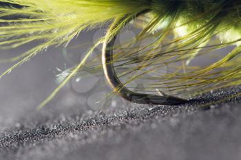 fly fishing. close-up