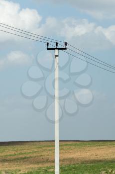power poles in nature