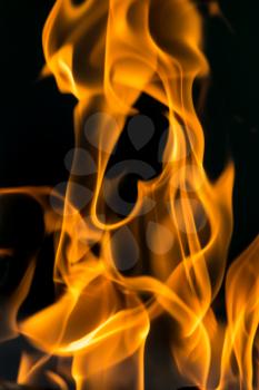 fire on black close up abstract background