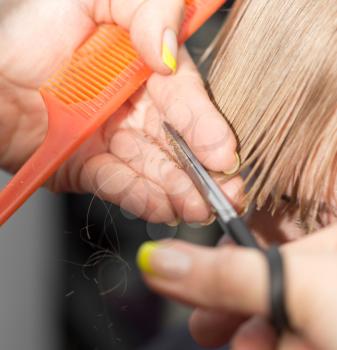 haircut at the beauty salon