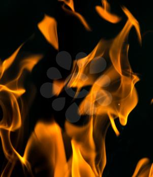 fire on black close up abstract background