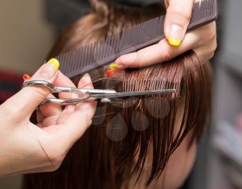 Female hair cutting scissors in a beauty salon