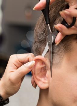 Haircut ear in a beauty salon