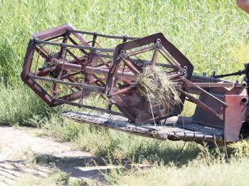 Combine wheat harvest