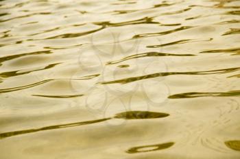 background of yellow surface of the water