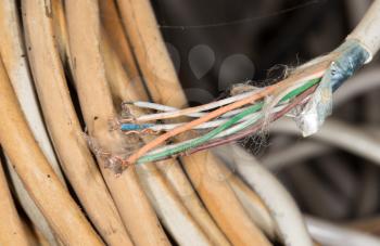 old wire as a backdrop. close-up