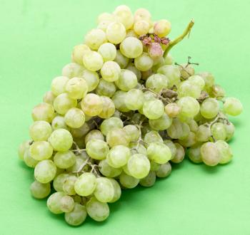 grapes on a green background