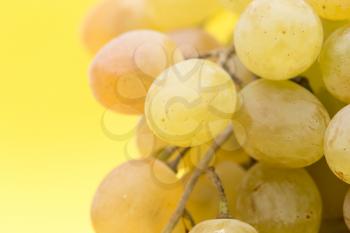 grapes on a yellow background