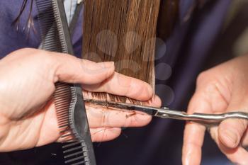 cutting hair in a beauty salon