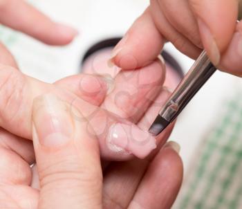 Manicure in a beauty salon