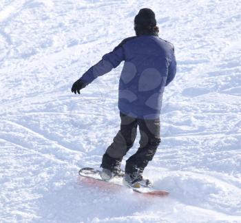 people snowboarding on the snow