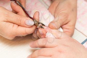 Manicure in a beauty salon