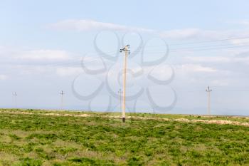 Power poles in the Outdoors