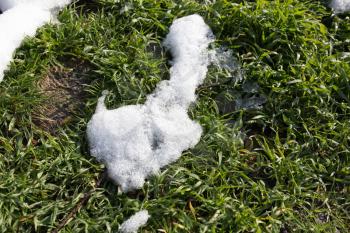 snow on the green grass