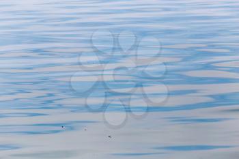 Background of the surface of the water