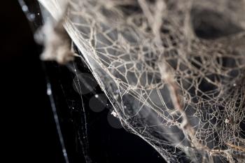 abstract background . web in nature