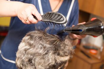 hair dryer hair dryer in a beauty salon