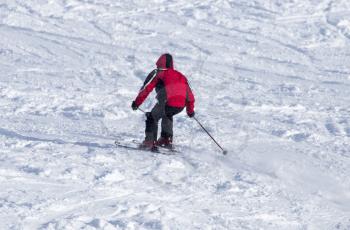 people skiing in the winter