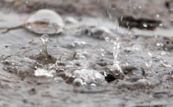 Water splashes in a puddle of rain