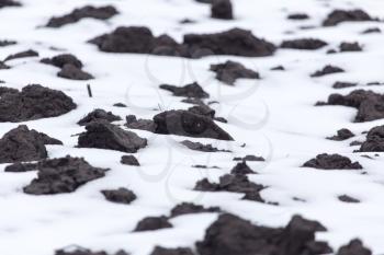 black soil in the snow on the nature