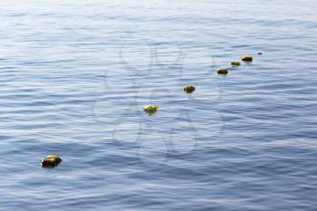 Fishing floats on the surface of the water