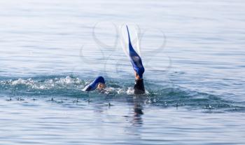 diver on the lake