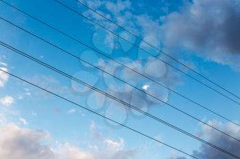 electrical wires on a background of night sky