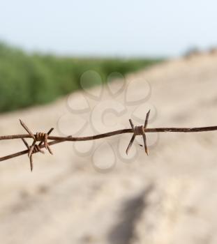 barbed wire fence in the nature