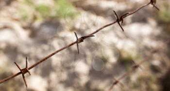 barbed wire fence in the nature