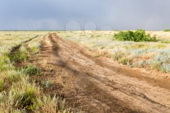 dirt road after rain