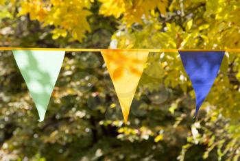 colored flags on the nature autumn