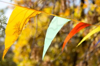 colored flags on the nature autumn
