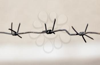 barbed wire outdoors as a background