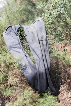 Wet clothes hanging in a tree