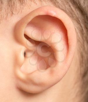 children's ear. macro