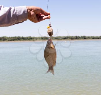 Fisherman caught a fish