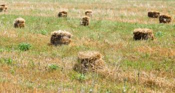 bundle of hay on the field