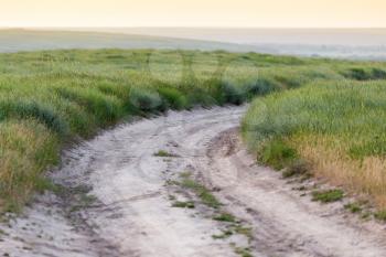 dirt road in nature