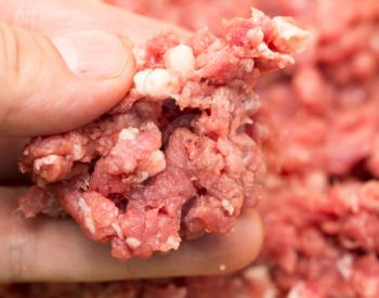 minced meat in his hand. macro