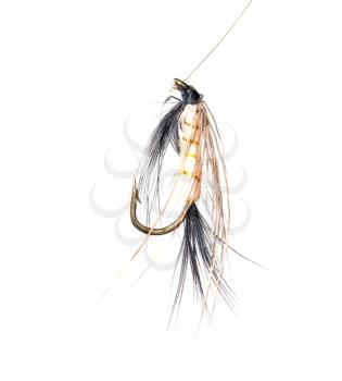 fly for fishing on a white background