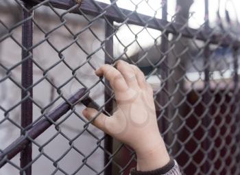 children's hands on a metal fence