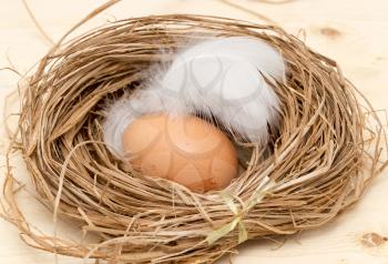 chicken eggs in a nest with feather