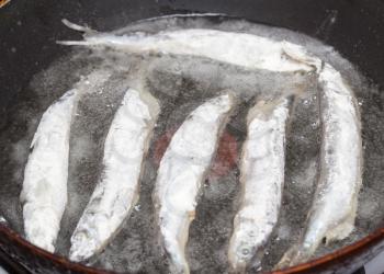 capelin in the flour fried in a pan