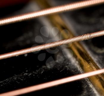 string guitar. macro