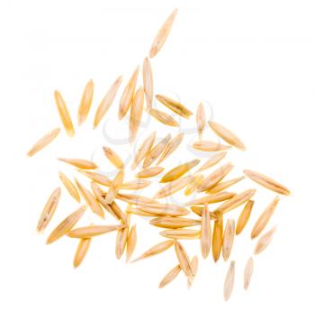 Corn oats on a white background. macro