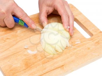 cook onion cut on a board on a white background .