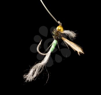 fly to catch fish on a black background .
